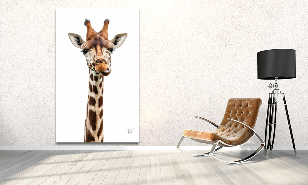 Plexiglas schilderij met dieren
