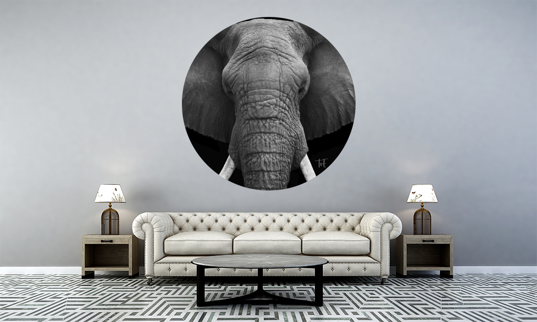 Wanddecoratie rond: net even anders