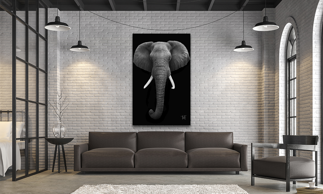 Wanddecoratie met olifant op plexiglas