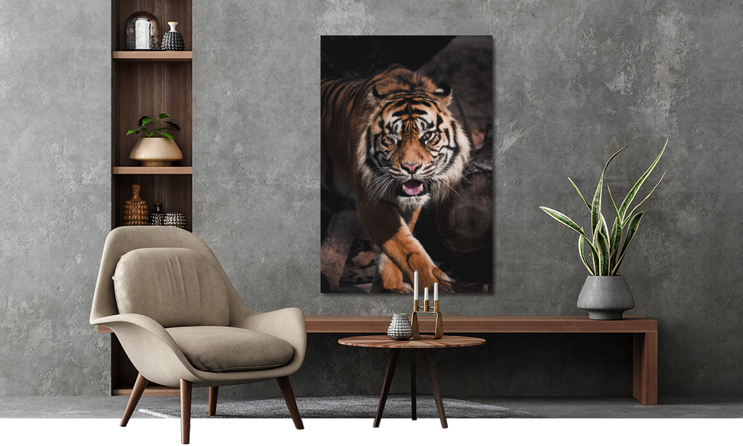 Plexiglas schilderij met tijger kopen
