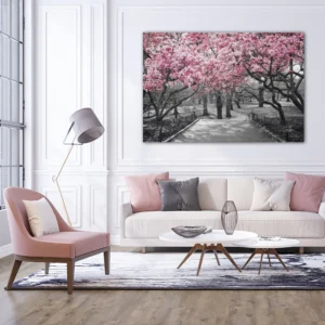 ToF Wanddecoratie landschap Central Park, New York zwart-wit met roze