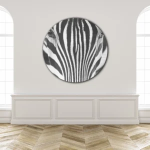 ToF Muurcirkel dieren close-up zebra zwart-wit