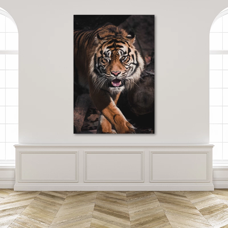 ToF Wanddecoratie tijger met knipoog