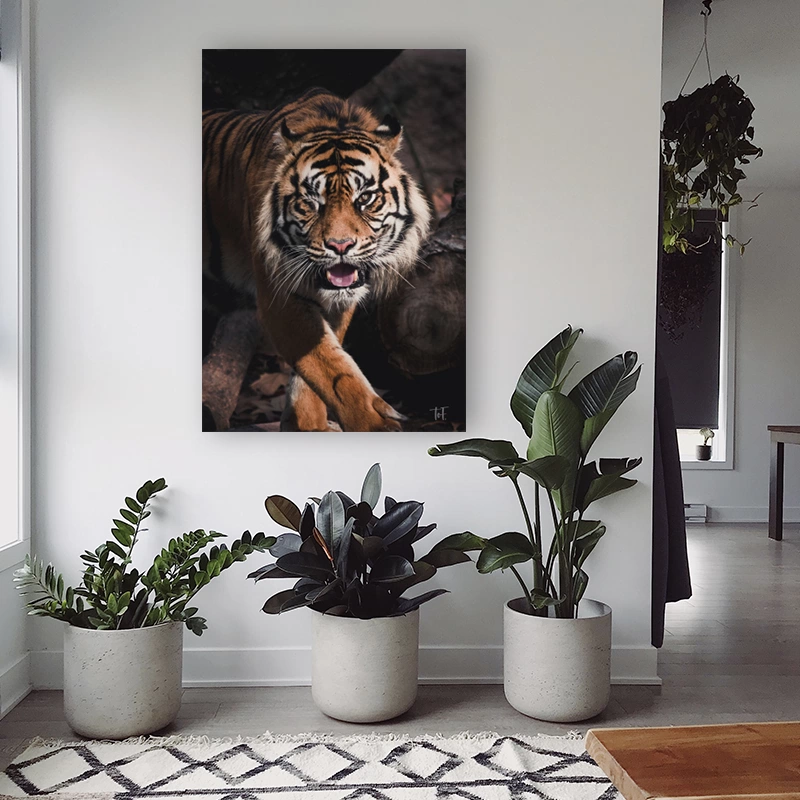 ToF Wanddecoratie tijger met knipoog - Afbeelding 2
