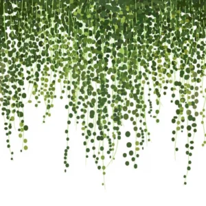 ToF Behang natuur hangplanten met witte achtergrond