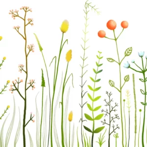 ToF Behang bloemen en grassoorten