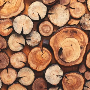 ToF Behang bomen stapel boomstammen