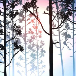 ToF Behang bos bomen getekend met blauwe achtergrond