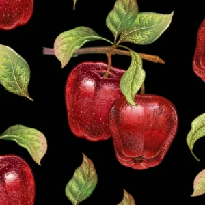 ToF Behang fruit appel aan tak getekend