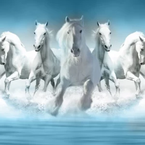 ToF Behang paard groep witte paarden in water in blauw-wittinten