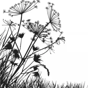 ToF Behang bloemen wild in zwart-wit