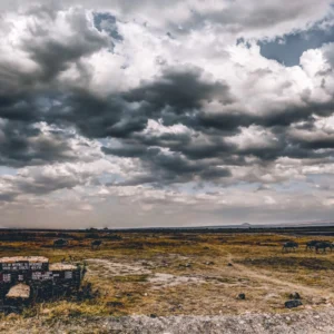 ToF Behang landschap droog met donkere wolken