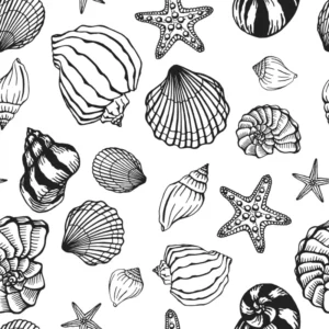ToF Behang strand schelpen getekend zwart-wit