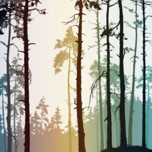 ToF Behang bos bomen getekend met kleurige achtergrond