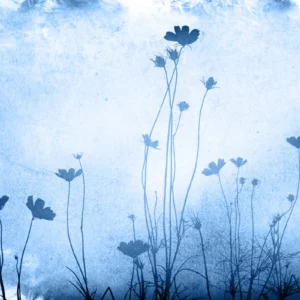 ToF Behang bloemen getekend blauw