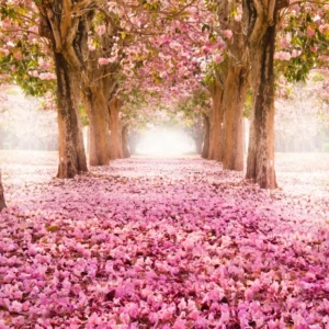 ToF Behang bomen bloesembomen op een rij