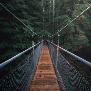 ToF Fotobehang brug planken in het bos