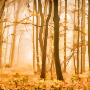 ToF Behang bos getekend met herfst kleuren