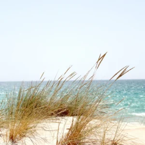 ToF Behang duinen met zee