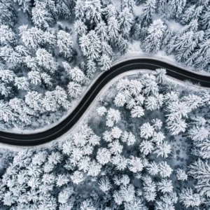 ToF Fotobehang winter weg door besneeuwd bos