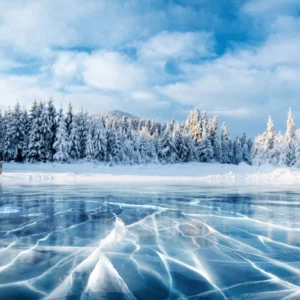 ToF Fotobehang winter bos met ijs en sneeuw