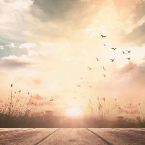 ToF Fotobehang zonsopkomst met landschap