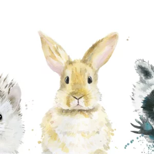 ToF Behang dieren op een rij met alleen de kop