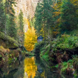ToF Behang bos Gorges aan Kamenice rivier, Tsjechisch-Zwitserland