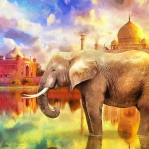ToF Behang modern schilderij van olifant