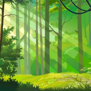 ToF Behang jungle zon door bomen