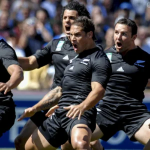 ToF Behang sport Nieuw-Zeelandse rugbyteam die de haka opvoeren