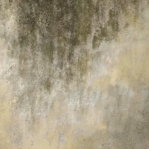 ToF Behang betonlook met geelgroene tinten