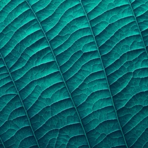 ToF Behang blauw bladtextuur close-up