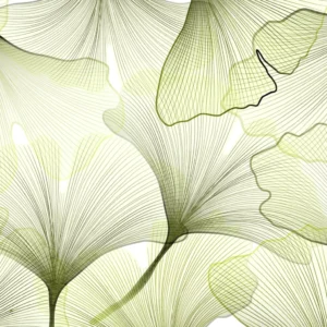 ToF Behang groen skelet van gingkobladeren