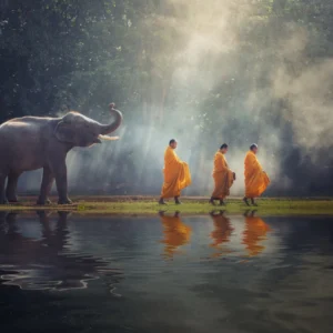 ToF Behang Boeddha Thailand, boeddhistische monniken met olifant