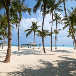 ToF Behang palmbomen aan het strand