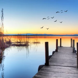 ToF Behang zonsondergang met houten pier