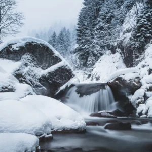 ToF Fotobehang zwart-wit besneeuwd bos met waterval